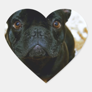 Sticker Cœur Adorable Chien-Chien-Putain Français Chien-botte !