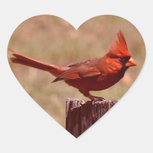 STICKER CŒUR AJOUTER UNE PHOTO