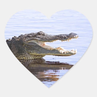 Sticker Cœur Alligator