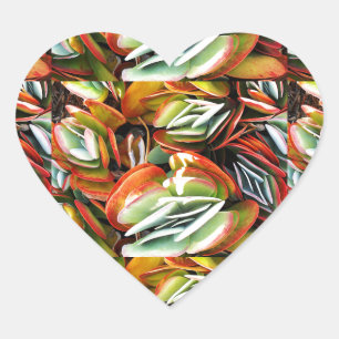 Sticker Cœur Amour_