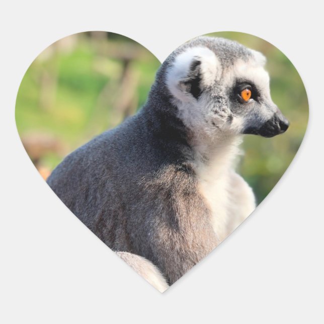 Sticker Cœur Amour sauvage : Pour l'Australie (Devant)