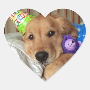 Sticker Cœur Anniversaire du Golden Retriever