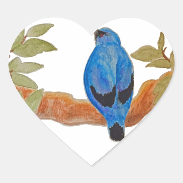 Sticker Cœur Aquarelle bleu Cuckooshrike (Devant)