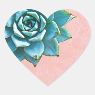 Sticker Cœur Aquarelle Succulente Dentelle rose