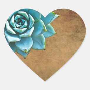 Sticker Cœur Aquarelle Succulente Rustique Brown