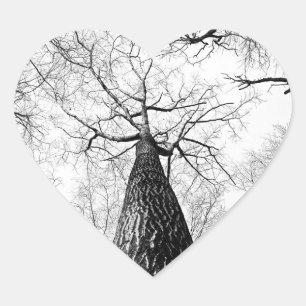 Sticker Cœur Arbre en noir et blanc