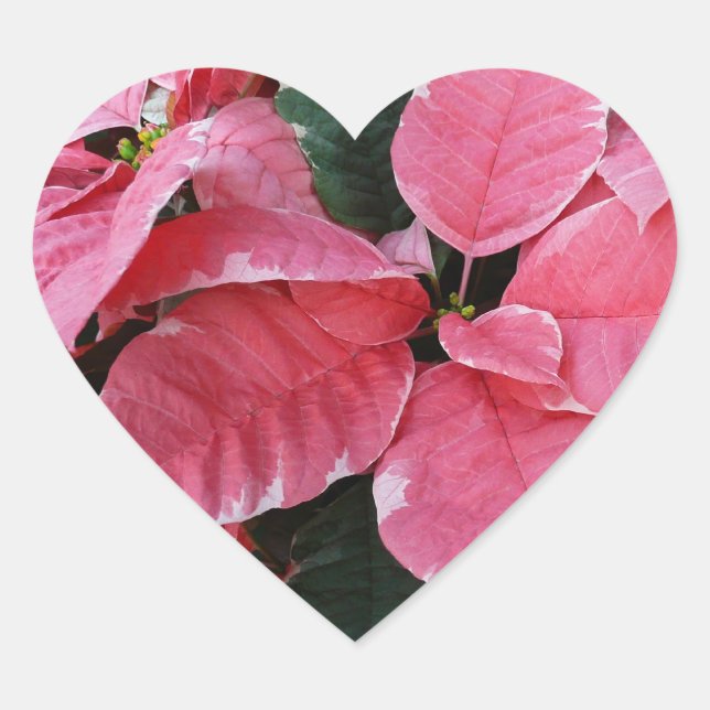 Sticker Cœur Argent Star Marbre Poinsettias Pink Holiday Floral (Devant)