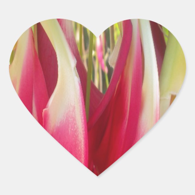 Sticker Cœur Art du coeur floral (Devant)