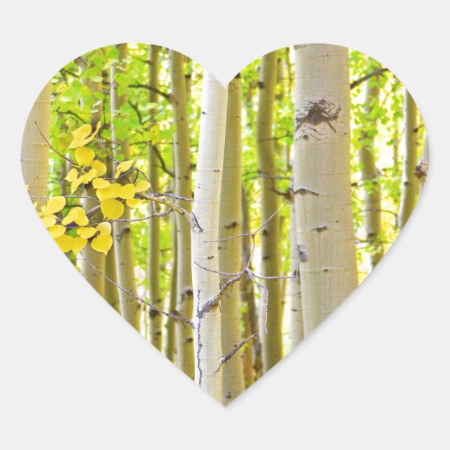 Sticker Cœur Aspen Tree Forest Autumn Time Portrait (Devant)
