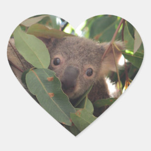 Sticker Cœur Baby Koala