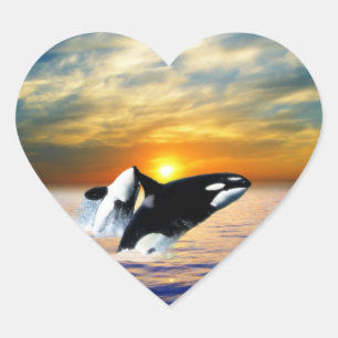 Sticker Cœur Baleines au coucher du soleil