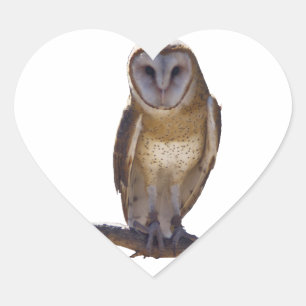 Sticker Cœur Barn Owl