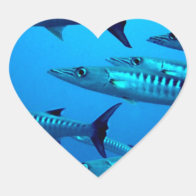 Sticker Cœur barracuda plongée mer profonde océan eau tropicale (Devant)