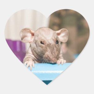 Sticker Cœur bâton de rat