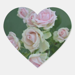 Sticker Cœur Beau jardin rose clair roses