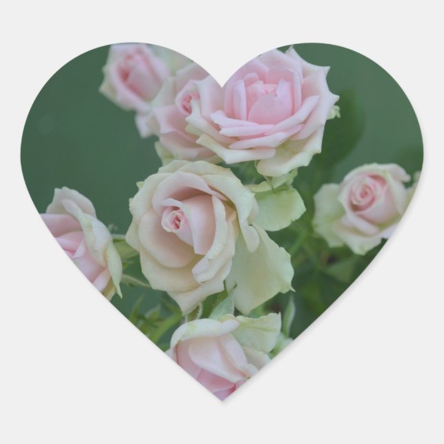 Sticker Cœur Beau jardin rose clair roses (Devant)