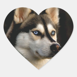 Sticker Cœur Beau Oreiller Husky Lrow