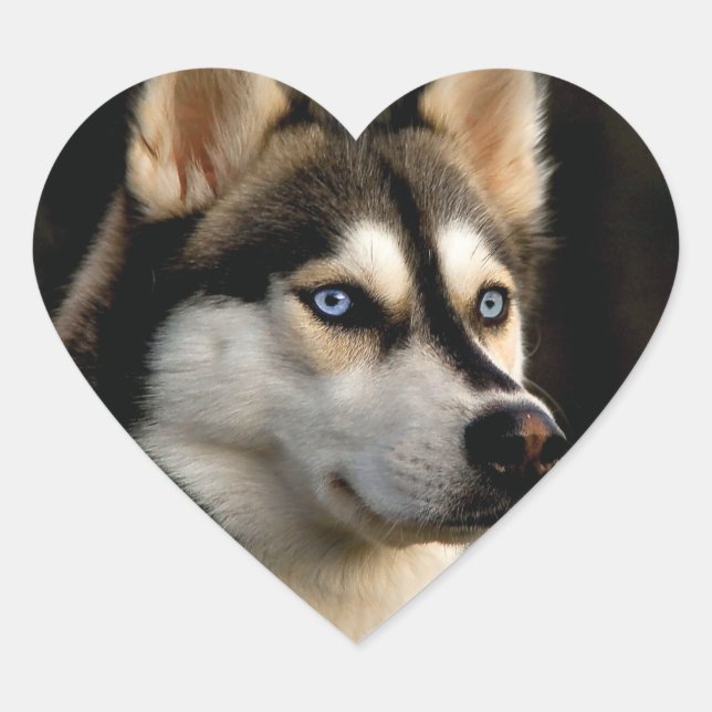 Sticker Cœur Beau Oreiller Husky Lrow (Devant)