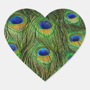 Sticker Cœur Belles plumes de paon