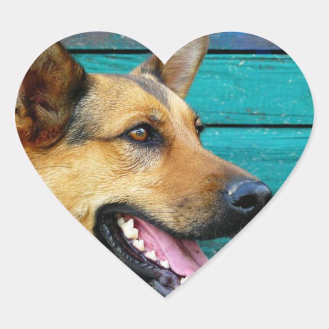 Sticker Cœur berger allemand (Devant)