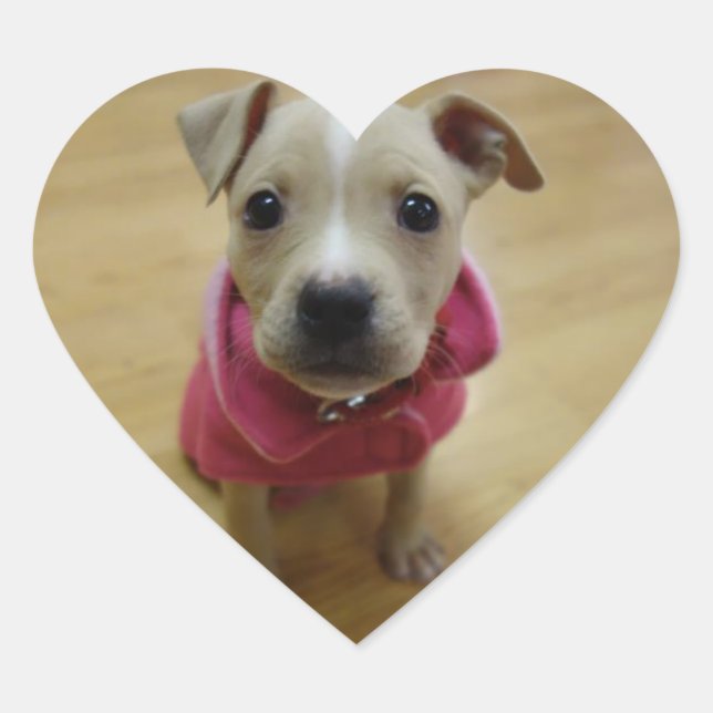 Sticker Cœur Beurre (Devant)