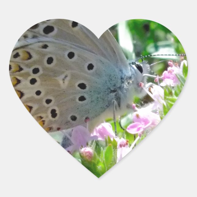 Sticker Cœur Bleu Jaune avec points noirs Papillon sur Fleurs (Devant)