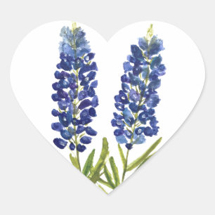 Sticker Cœur Bluebonnets Texas State Flowers Lupine Watercolor