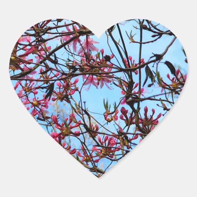 Sticker Cœur Boucles de fleurs roses sur un arbre (Devant)