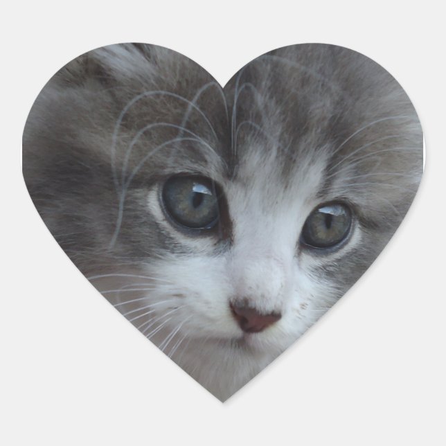 Sticker Cœur Burr Baby (Devant)