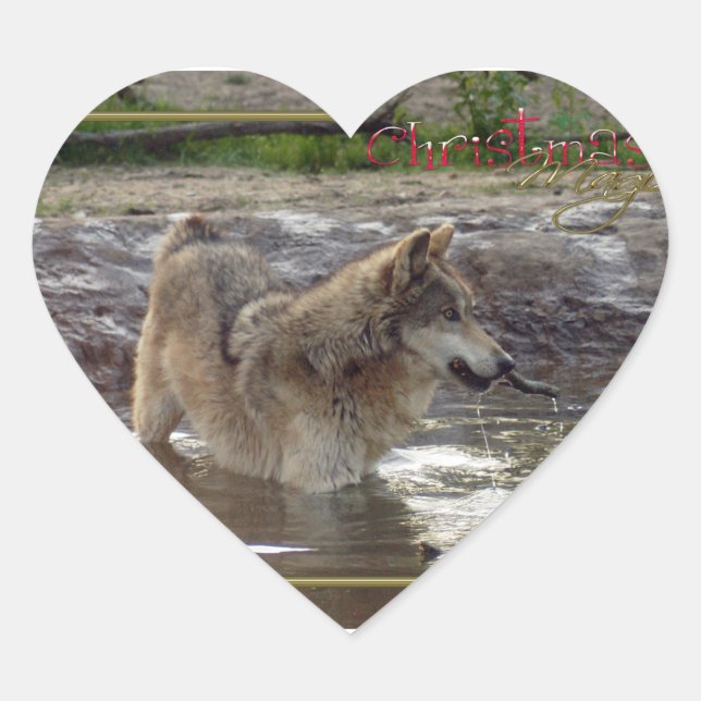Sticker Cœur c-2011-grey-wolf-005 (Devant)