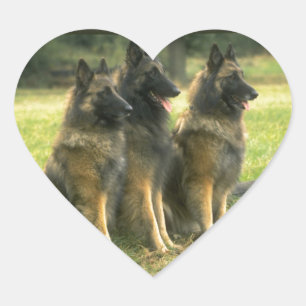 Sticker Cœur Cadeaux bergers allemands