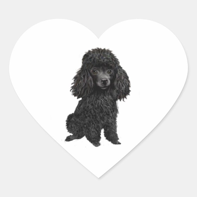 Sticker Cœur Caniche noir (#3) (Devant)