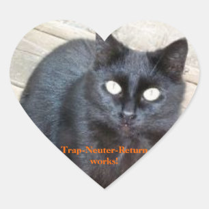 Sticker Cœur Cartes-autocollants-à-coeur sans-retour