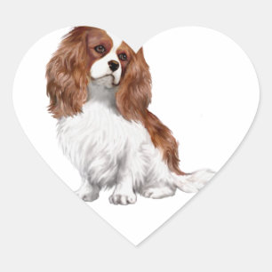 Sticker Cœur Cavalier le roi Charles Spaniel (Blenheim A)