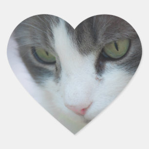 Sticker Cœur chat