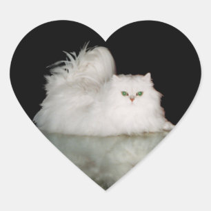 Sticker Cœur Chat Persan aux Yeux Vert Jade