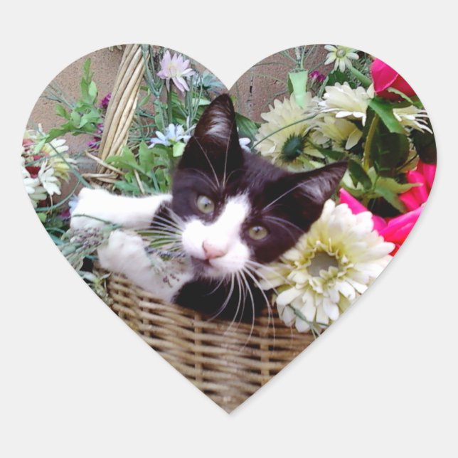 Sticker Cœur Chaton dans un panier (Devant)