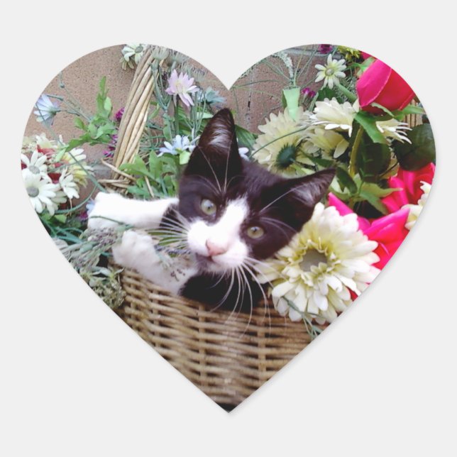 Sticker Cœur Chaton dans un panier (Devant)