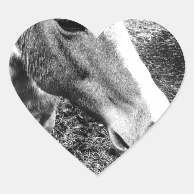 Sticker Cœur Cheval (Devant)