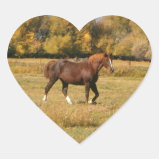 Sticker Cœur Cheval Brown