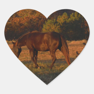 Sticker Cœur Cheval Brown rouge, bois d'automne.