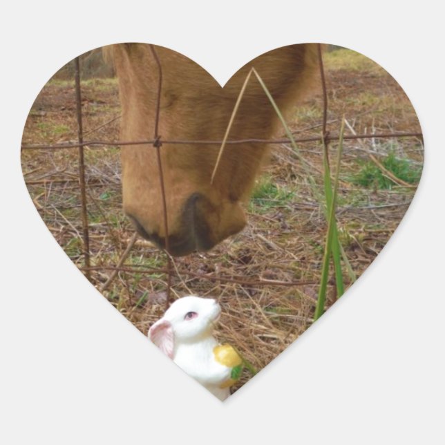 Sticker Cœur cheval et fleur de printemps Bunny (Devant)