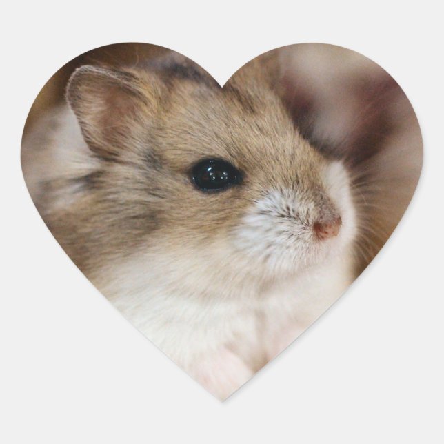 Sticker Cœur Chibby (Devant)