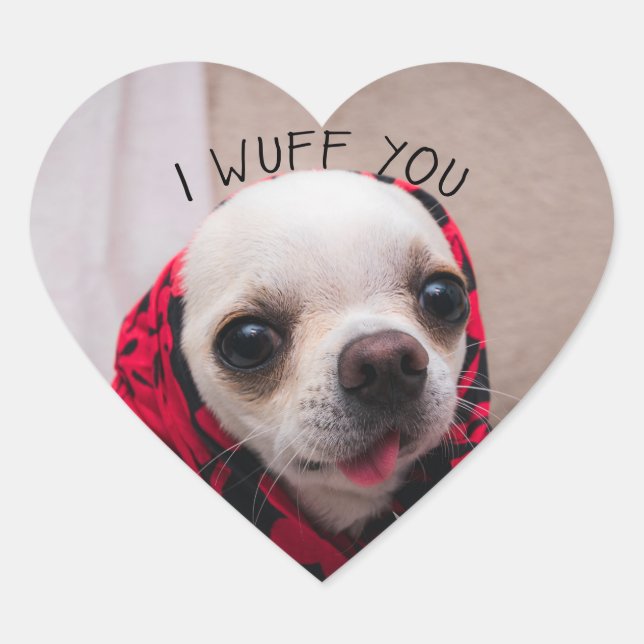 Sticker Cœur Chihuahua mignon Je vous jure que vous aimez Valen (Devant)