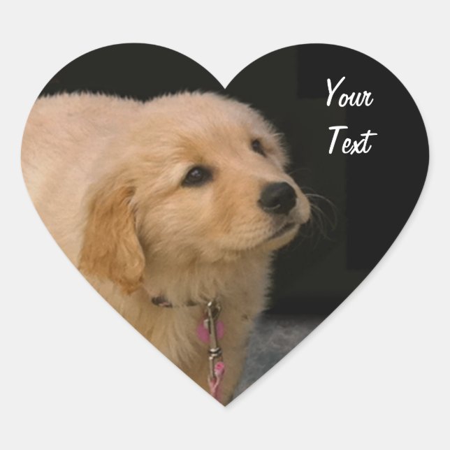 Sticker Cœur Chiot Golden Retriever (Devant)