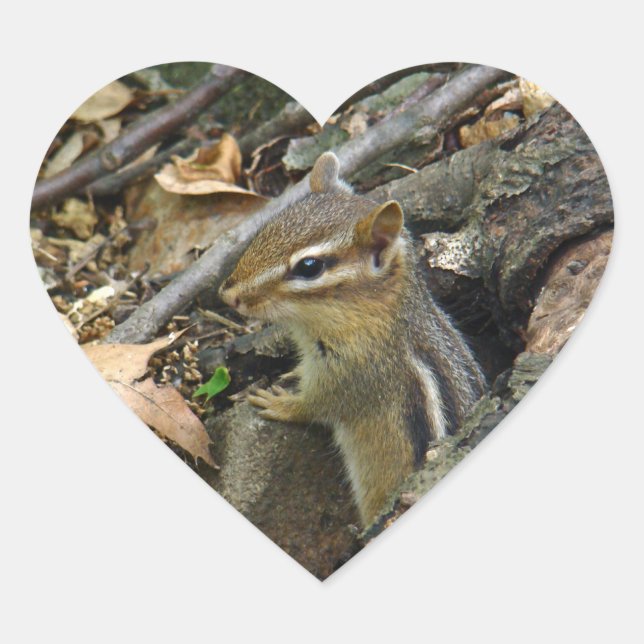 Sticker Cœur Chipmunk oriental - Tamias striatus (Devant)