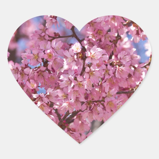Sticker Cœur Ciel Rose de Cerisier Sakura (Devant)