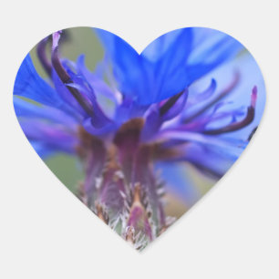Sticker Cœur Coccinelle Fleurs Bleues Art Amour Destinée Vigne