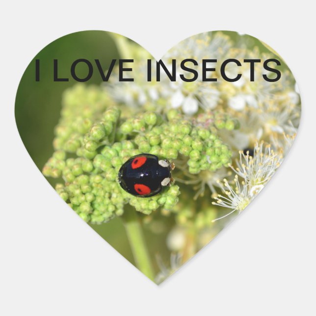 Sticker Cœur Coccinelle noire (Devant)
