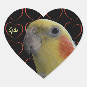 Sticker Cœur Cockatiel et Hearts